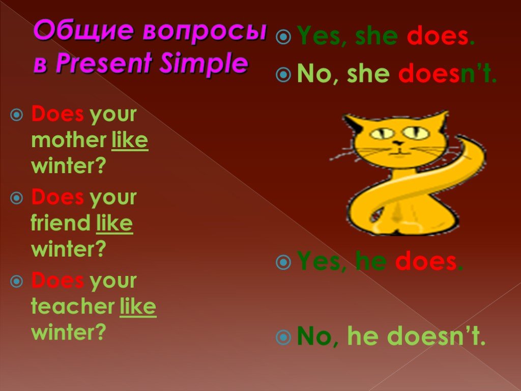 Does your friends. Вопросы с do does. Вопросы с did. Общий вопрос с did. Do does в вопросительных предложениях.