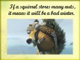 If a squirrel stores many nuts, it means it will be a bad winter.