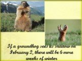 If a groundhog sees its shadow on February 2, there will be 6 more weeks of winter