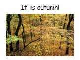 It is autumn!