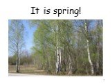 It is spring!