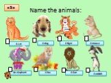 Name the animals: A cat A dog A tiger A mouse An elephant A fox A lion A rabbit «5»