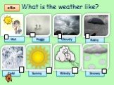What is the weather like? Hot Foggy Cloudy Rainy Cold Sunny Windy Snowy