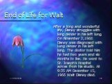 End of Life for Walt. After a long and wonderful life, Disney struggles with lung cancer in his left lung. On November 2,1966 Disney was diagnosed with Lung cancer in his left lung. The doctor told him he had two years and six months to live. He went to St. Joseph’s Hospital across from his studio. 