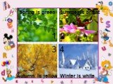 Spring is green Summer is bright Autumn is yellow Winter is white 1 2 3 4