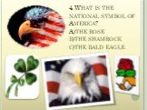 4.What is the national symbol of America? A)the rose b)the shamrock c)the bald eagle