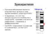 Брахидактилия. Причиной заболевания являются гетерозиготные мутации в гене тирозин-киназного рецептора ROR2. Установлено, что этот ген экспрессируется в остеобластах и хондроцитах, принимая участие в их размножении, созревании и дифференцировке. Ген ROR2 локализован в хромосоме 9, в районе 9q22, сос