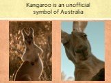 Kangaroo is an unofficial symbol of Australia