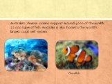 Australia’s diverse oceans support around 4000 of the world’s 22 000 types of fish. Australia is also home to the world’s largest coral reef system. Clownfish