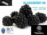 BlackBerry OS. Компания Research In Motion Limited (RIM).
