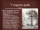 У старого дуба. И вот он глубоко проникся той силой жизни, духовным богатством, непосредственностью и искренностью, которые от нее исходили. Встреча с Наташей по-настоящему преобразила его, пробудила в нем интерес к жизни и родила в его душе жажду активной деятельности. Когда, возвращаясь домой, он 