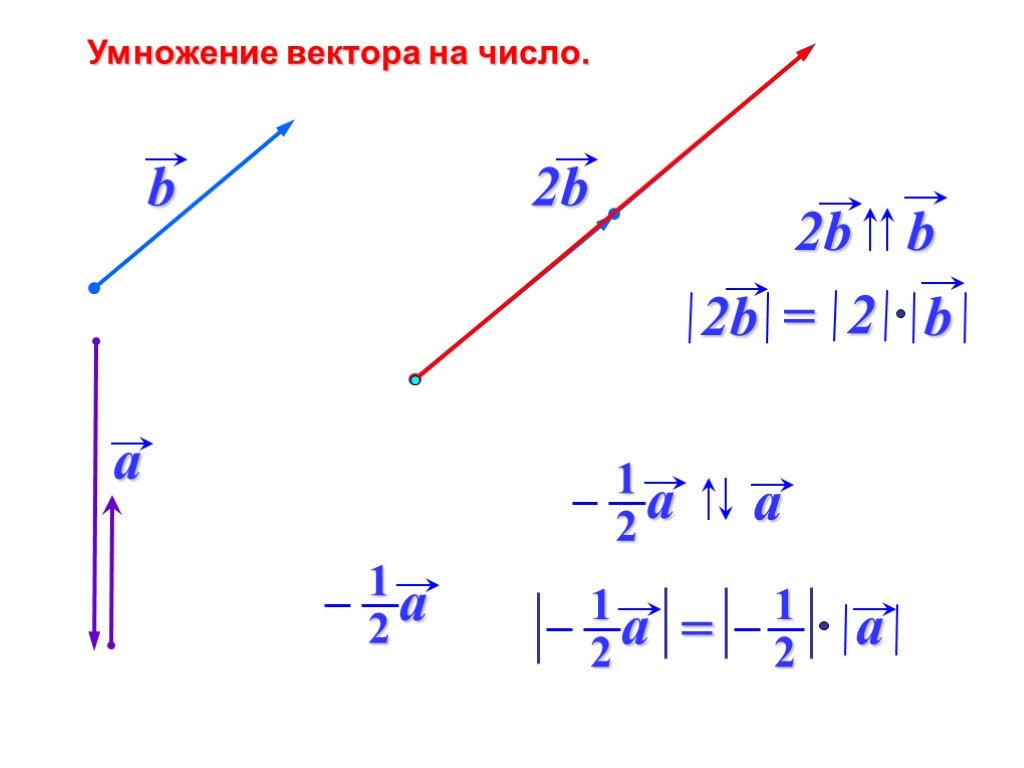 Вектор х 3 вектор у. Умножение вектора на число. Умножение векиора на числл. Умножение вектора на ветор. Векторы умножение вектора на число.