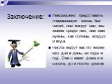 Заключение: Невозможно представить современную жизнь без чисел, они вокруг нас, мы живем среди них, они нам нужны, как солнце, воздух и вода. Числа ведут нас по жизни изо дня в день, из года в год. Они с нами дома и в школе, до и после уроков.