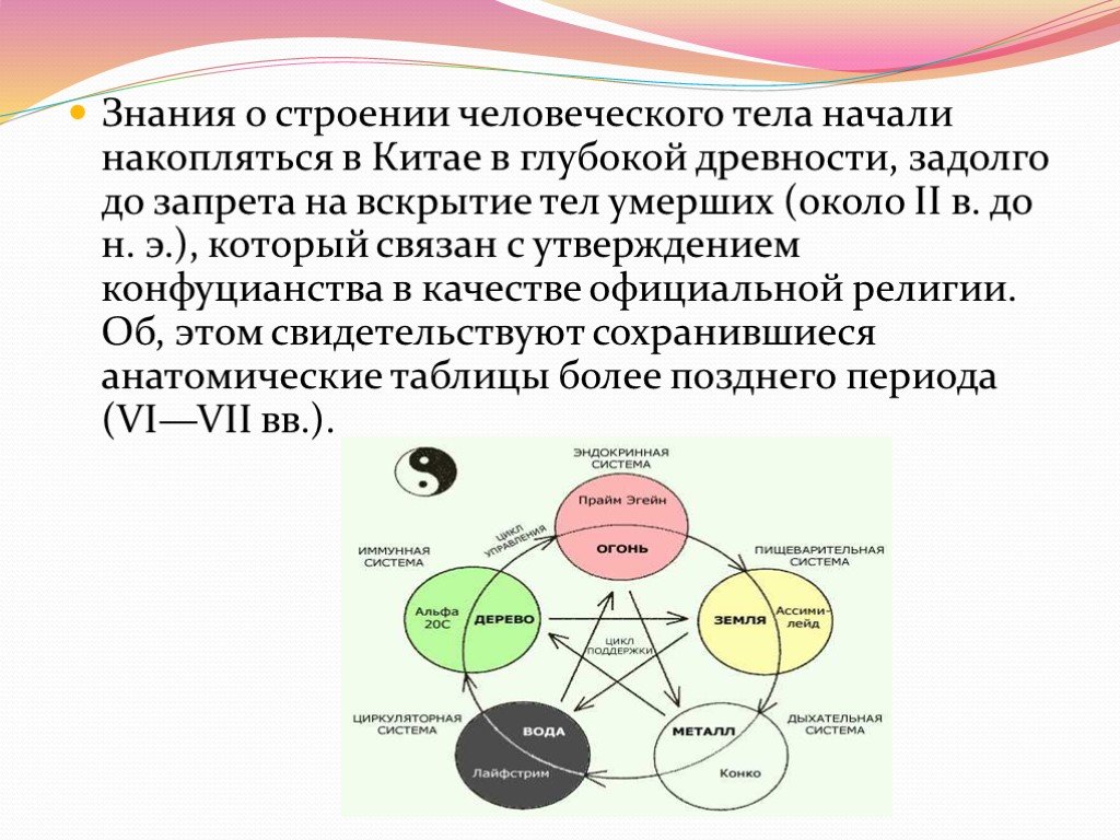 Проект китайская медицина