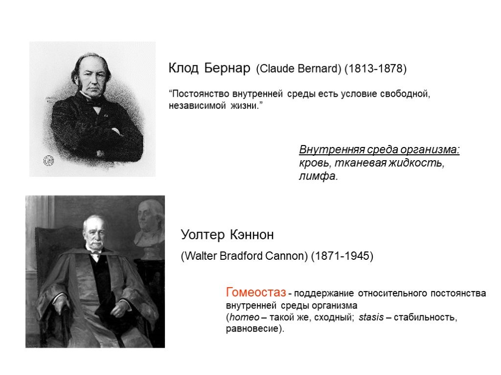 Внутреннее постоянство организма. Внутренняя среда организма Клод Бернар. Клод Бернар физиология. Клод Бернар понятие внутренней среды. Клод Бернар патофизиология.