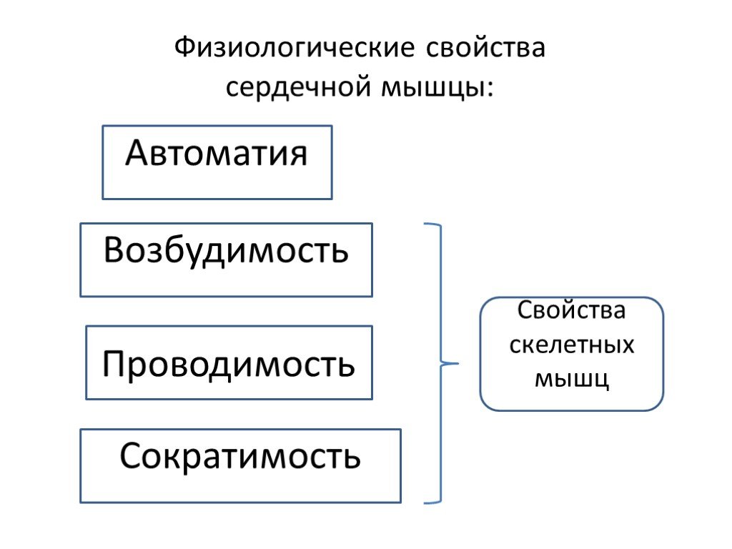 Свойства сердечной