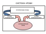 СИСТЕМА КРОВИ. РЕГУЛЯТОРНЫЕ ОРГАНЫ. ЦИРКУЛИРУЮЩАЯ КРОВЬ. ОРГАНЫ КРОВЕТВОРЕНИЯ. ОРГАНЫ КРОВЕРАЗРУШЕНИЯ