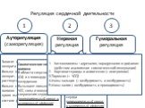 Регуляция сердечной деятельности. Ауторегуляция (саморегуляция). Нервная регуляция. Гуморальная регуляция. 2 3. Зависит от венозного возврата крови. Чем больше венозный возврат, тем больше растянуты волокна, тем больше сила сокращения волокон сердца – больше крови выбрасывается в систоле (закон серд