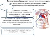 Система кровообращения – замкнутая система сосудов, внутри которых непрерывно циркулирует кровь, продвигаемая насосной функцией сердца. Особенности: 1. Давление в системе относительно велико и постоянно, поддерживается эластичными стенками сосудов. 2.Потребности в кровоснабжении различными органами 