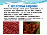 И все же почему наша кровь красная? А не голубая или зеленая? На это пока ответа нет. Но очевидно: то, что цвет нашей крови красный и что в ней содержится гемоглобин, а не, скажем, хлорокруорин, это не прихоть природы, не случайность, а эволюционная закономерность. С железом в крови