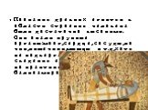 Познания древних египтян в области строения человека были достаточно высокими. Они знали крупные органы:мозг,сердце,сосуды,почки,кишечник,мышцы и т.д,хотя не подвергали изучению. Эти сведения египтяне получали из практики бальзамирования.