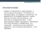 Этиопатогенез. Вирусы полиомиелита представлены 3 антигенными штаммами. Устойчивы во внешней среде, не обладают летучестью. Не разрушается пищеварительными соками. Быстро погибает при кипячении, под действием ультрафиолетового и при высушивании. Вирус выделяется с кишечным или носоглоточным содержим