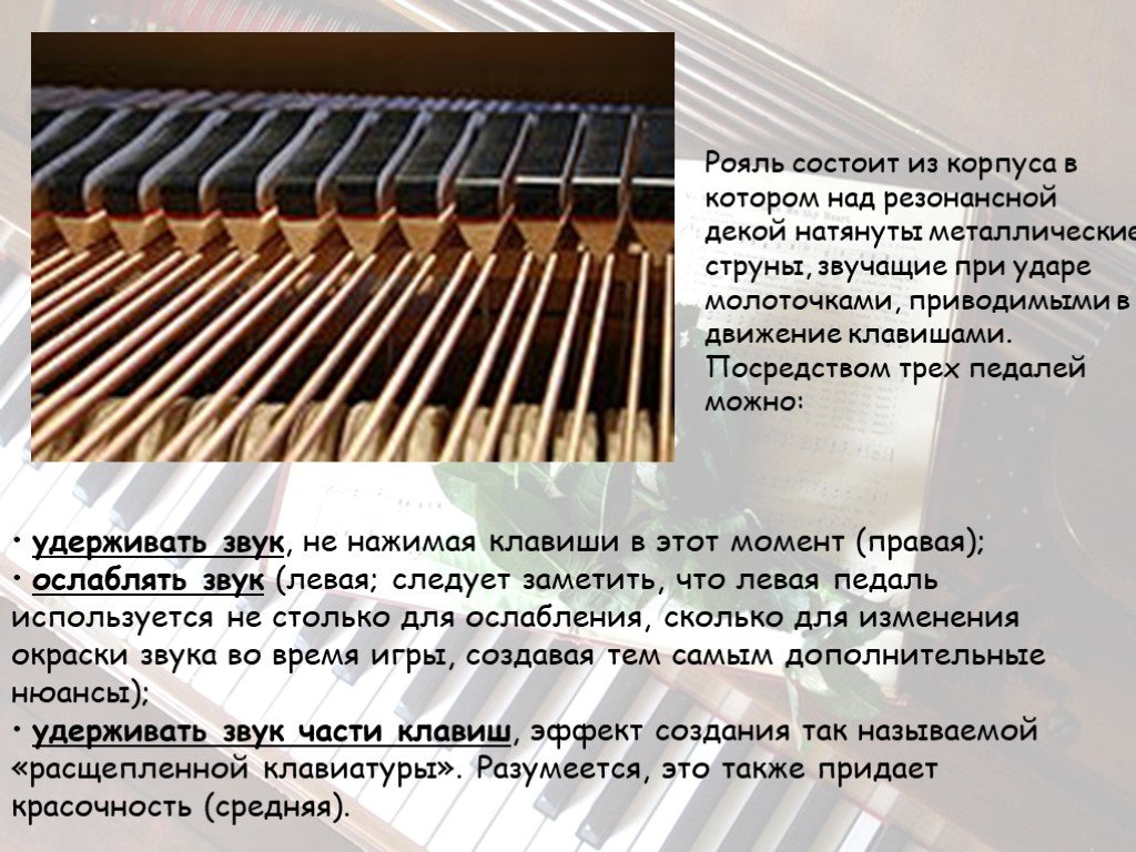 Откуда берется звук. Информация про рояль. Сообщение о пианино. Строение рояля. Сообщение о рояле.