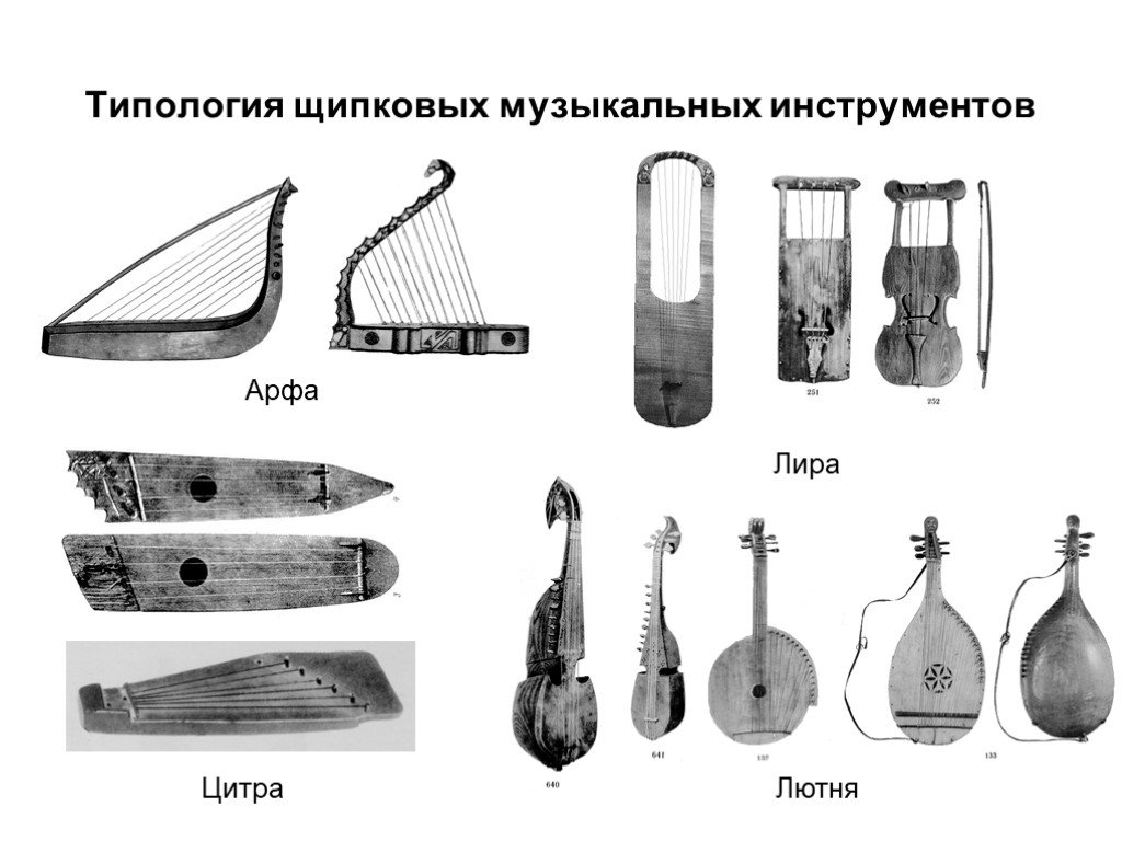 Двухструнный Щипковый Инструмент