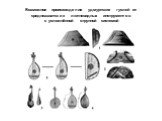 Возможное происхождение удмуртских гуслей от среднеазиатских лютневидных инструментов с усложнённой струнной системой