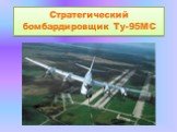 Стратегический бомбардировщик Ту-95МС