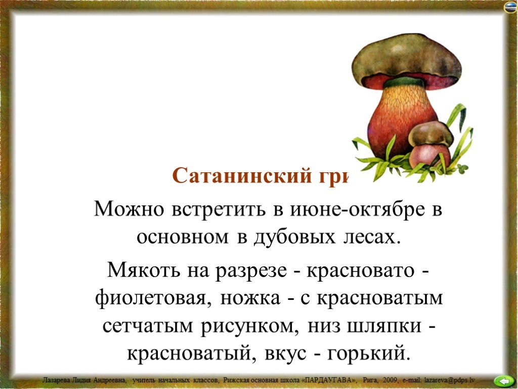 Грибы 4 класс окружающий мир. Сатанинский гриб шляпка снизу. Сатанинский гриб шляпка снизу описание. Сатанинский гриб сообщение. Сатанинский гриб мякоть шляпка.