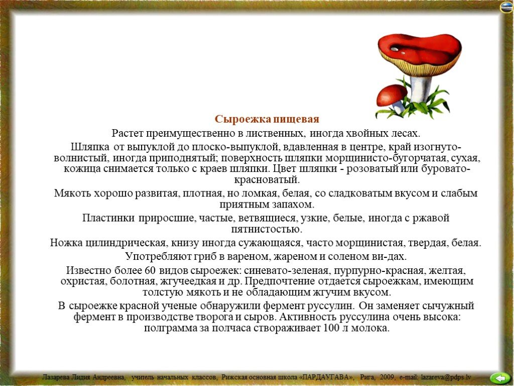 Грибы 4 класс окружающий мир. Сыроежка сообщение 2 класс. Описание гриба сыроежка для 3 класса доклад. Описание сыроежки для 3 класса. Сыроежки грибы доклад 5 класс.