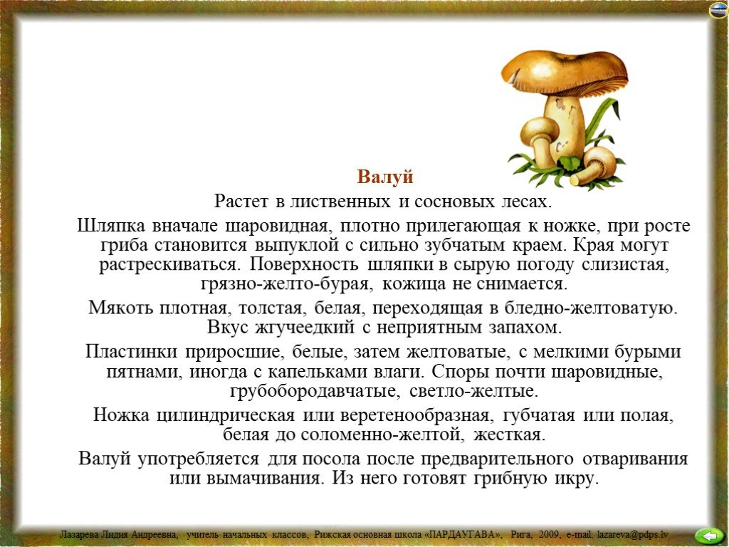 Грибы 4 класс окружающий. Доклад про гриб Валуй. Грибы презентация 2 класс. Проект про грибы 2 класс. Гриб Валуй информация для детей.