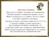 Энотолома ядовитая Онтосится к грибам, похожим на шампиньоны. Распространена в широколиственных лесах. Может встречаться и в парках. Растет в июне-сентябре одиночно и группами. Диаметр шляпки энтоломы ядовитой до 13-15 см. У молодых грибов шляпка выпуклая с выступающим бугорком посередине. Со старен