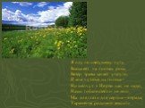 Я иду по цветущему лугу, Высыхает на листьях роса, Ветер травы качает упруго, И мне чудятся их голоса – Ни шепчут: « Не рви нас, не надо, Наши гибкие стебли не мни, Мы для глаз и для сердца – отрада, Украшенье родимой земли!». Я иду по цветущему лугу, высыхает на листьях роса, ветер травы качает упр