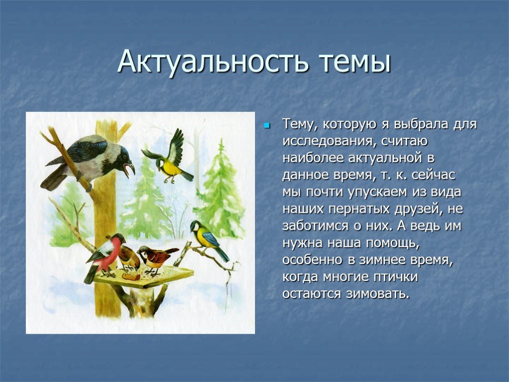 Презентация пернатые друзья