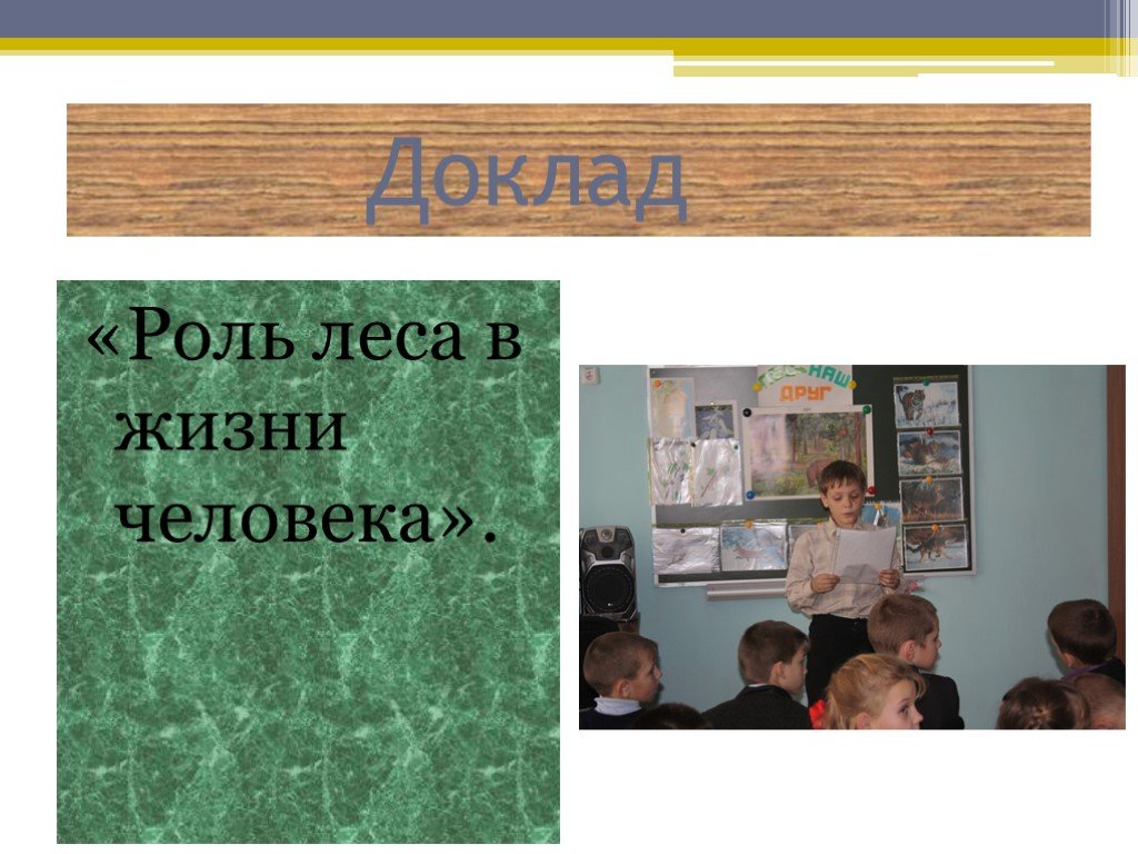 Роль леса в жизни человека. Сообщение живживки , нашего лесного корреспондента.