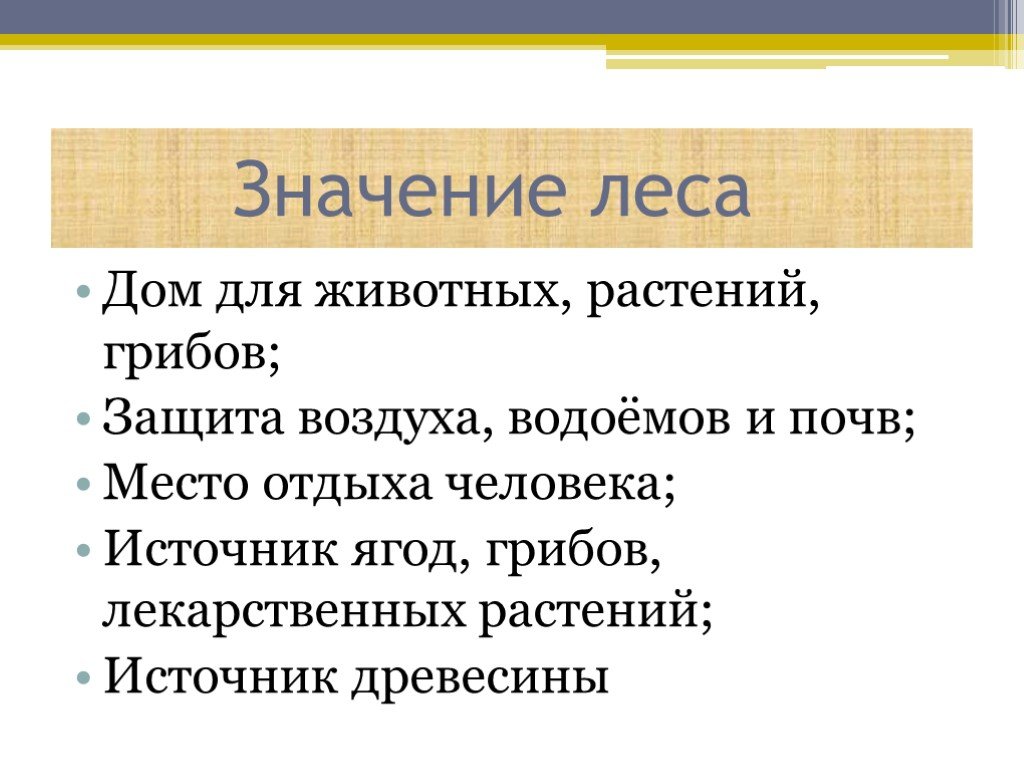 Значение леса. Значение леса в жизни человека. Значение леса в жизни человека 4 класс. Проект роль леса в жизни человека. Значение леса для природы 4 класс.