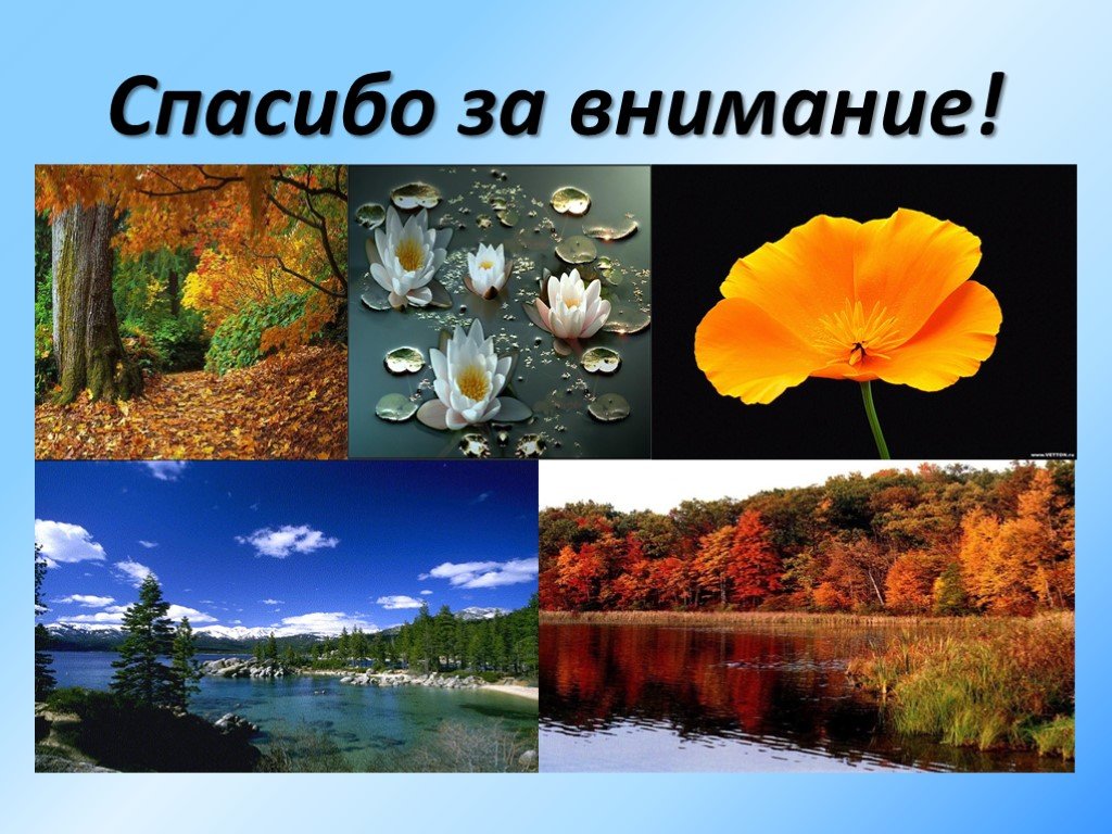 Времена года спасибо. Спасибо за внимание времена года. 4 Времени года спасибо за внимание. Спасибо за внимание природа. Надпись времена года спасибо за внимание.