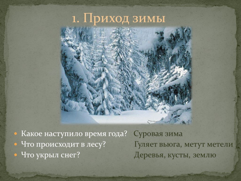 Тема текста зимний лес. Сочинение приход зимы. Сочинение наступление зимы. Сочинение зимний лес. Сочинение на зимнюю тему.