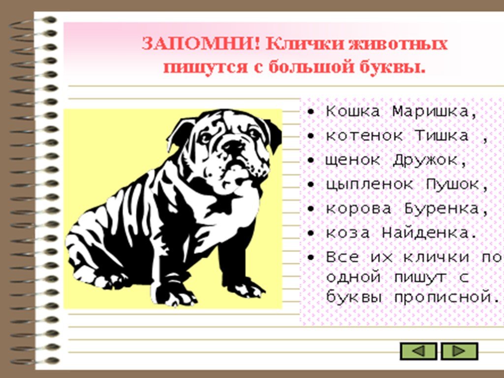 Клички животных русский язык