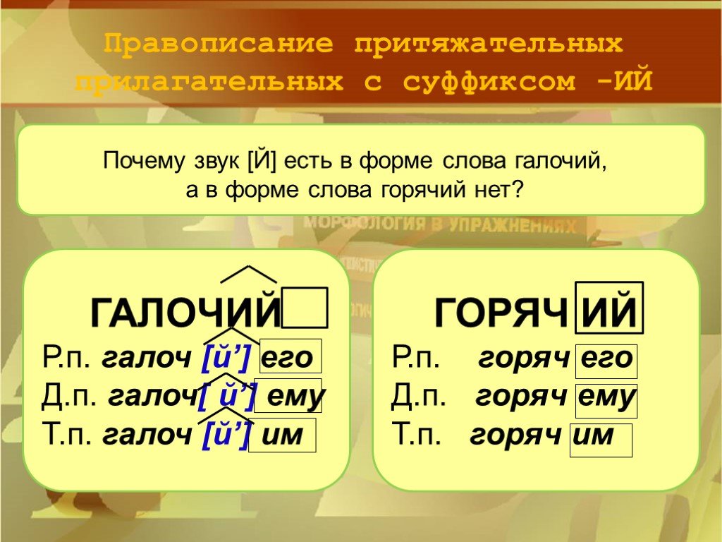 Притяжательные имена прилагательные 3 класс школа 21 века презентация