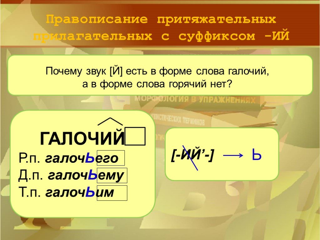 Суффикс ий. Правописание притяжательных прилагательных с суффиксом ий. Написание ь в притяжательных прилагательных. Правописание мягкого знака в притяжательных прилагательных. Правописание окончаний притяжательных прилагательных.