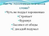 Как ты понимаешь значение слова? Чуть не поддал хорошенько Стряпает Буркнул Засопел от обиды С досадой подумал