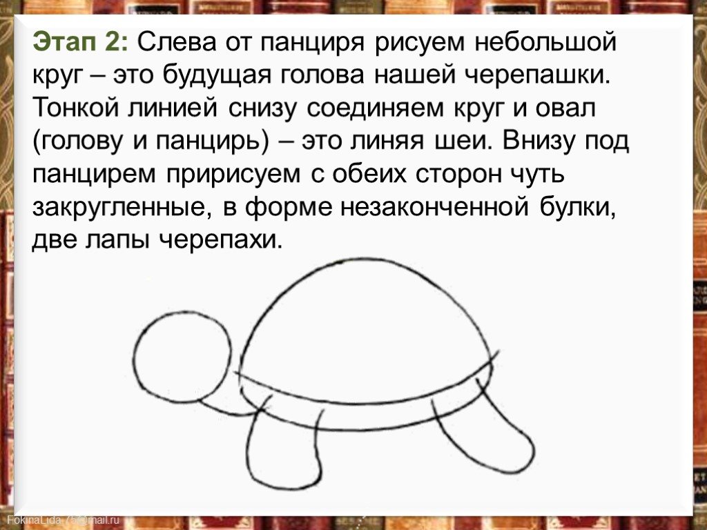 Turtle как нарисовать круг