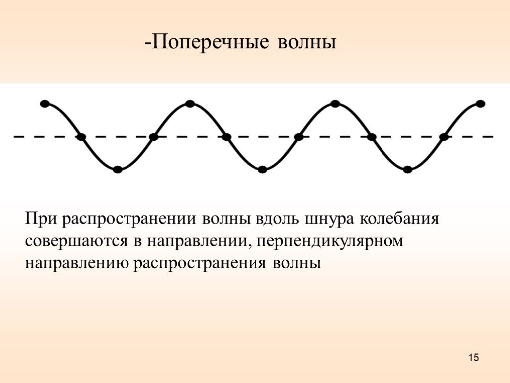 Направление в котором распространяется волна. Поперечная волна рисунок и примеры. Поперечные волны распространяются. Поперечные волны физика. Поперечная волна и продольная волна.