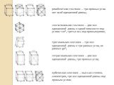 ромбическая сингония — три прямых угла нет осей одинаковой длины; гексагональная сингония — две оси одинаковой длины в одной плоскости под углом 120°, третья ось под прямым углом; тригональная сингония — три оси одинаковой длины и три равных угла, не равных 90°; тетрагональная сингония — две оси оди