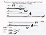 Порівняння швидкостей комах і птахів із швидкістю літака. абсолютна швидкість (км/год) джміль сіра ворона шпак стриж літак відносна швидкість (власна довжина за хвилину) джміль стриж шпак сіра ворона літак