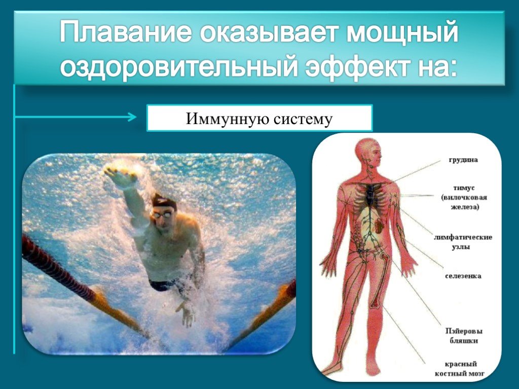 Организмы не способные к активному плаванию. Влияние плавания на организм. Влияние плавания на нервную систему. Презентация на тему пловец. Влияние плавания на дыхательную систему человека.