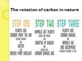 The rotation of carbon in nature